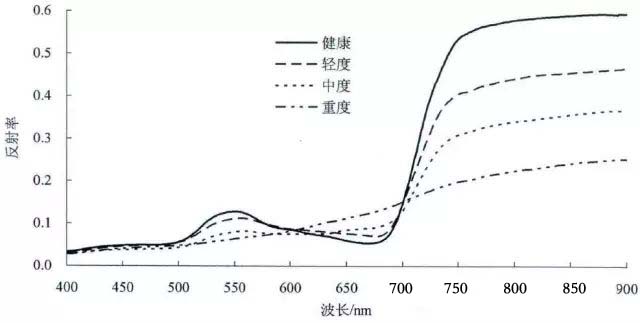 高光譜譜圖信息