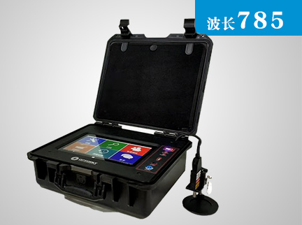 小型便攜式拉曼光譜儀應用（藥物檢測分析）的最新進展