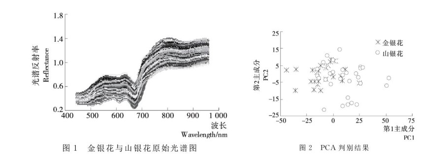 高光譜相機在工業(yè)檢測中的應用—金銀花、山銀花中藥材檢測案例