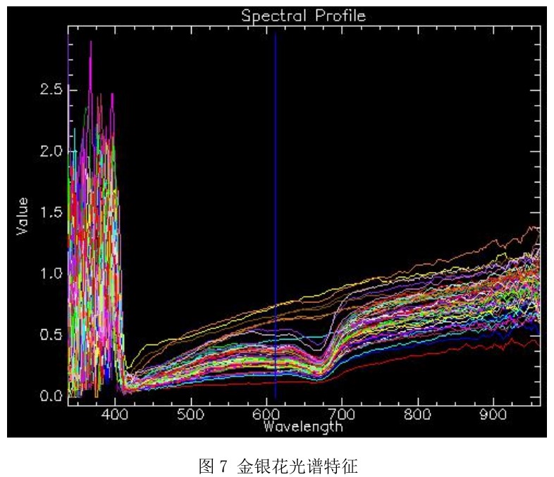 高光譜相機在工業(yè)檢測中的應用—金銀花、山銀花中藥材檢測案例
