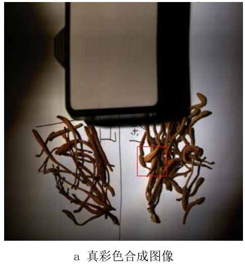高光譜相機在工業(yè)檢測中的應用—金銀花、山銀花中藥材檢測案例