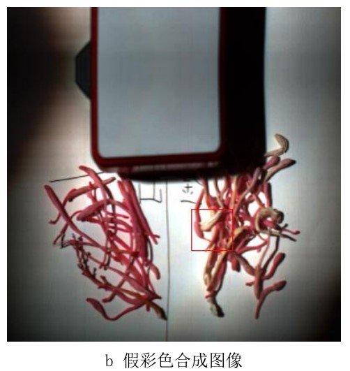 高光譜相機在工業(yè)檢測中的應用—金銀花、山銀花中藥材檢測案例