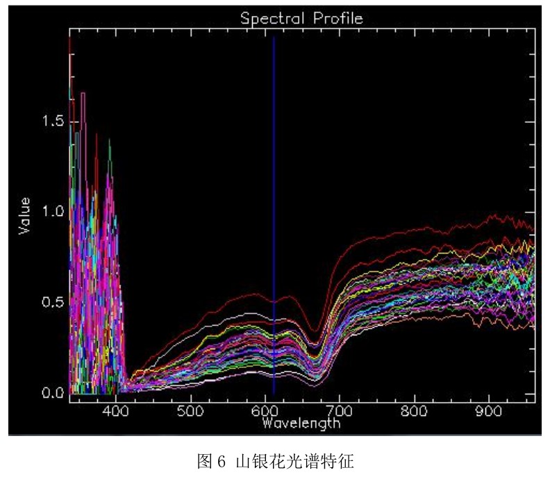 高光譜相機在工業(yè)檢測中的應用—金銀花、山銀花中藥材檢測案例